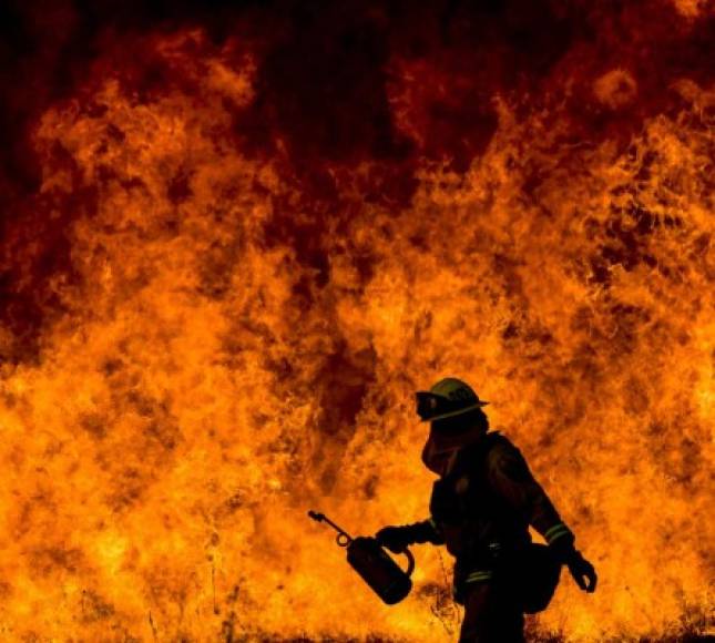 Los pronósticos meteorológicos mostraron que los vientos -considerados el jueves por las autoridades como 'épicos', con velocidades de hasta 128 km/h- bajaron de intensidad en la noche, pero que pueden retomar su fuerza en la tarde. El departamento de bomberos de California (Cal Fire) ha pedido a los residentes estar listos para evacuar las zonas afectadas en cualquier momento.