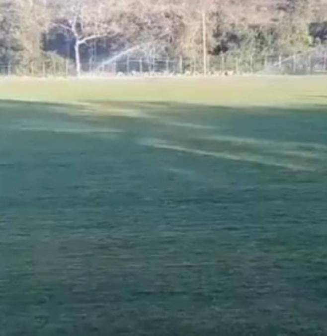 Según se conoció la cancha tendrá el mismo tratamiento del estadio de San José en Costa Rica.