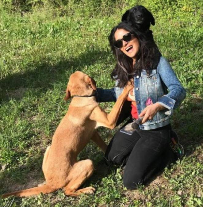 'Hoy en vez de encontrar huevos de chocolate, encontré trufas con la ayuda de Zara y Mala, que por suerte era muy buena perrita', escribió Salma Hayek en Instagram, con varias fotos al lado de sus mascotas.