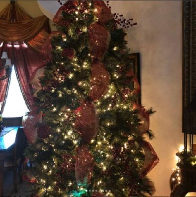 La periodista hondureña Neida Sandoval compartió varias fotografías en su Instagram de su árbol y su nacimiento. La ganadora de cinco premios Emmy ha mandado todo su amor a sus fans.