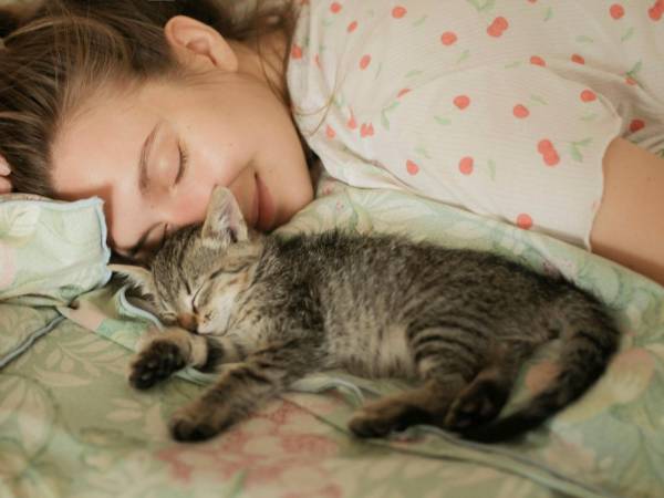 ¿Dormir con perros o gatos afecta la salud y la calidad del sueño? Esta consulta es frecuente en consultorios y, según expertos en sueño y medicina veterinaria, implica riesgos sanitarios, posibles alteraciones nocturnas y ventajas para el bienestar emocional, como detalla <i>The New York Times</i>.