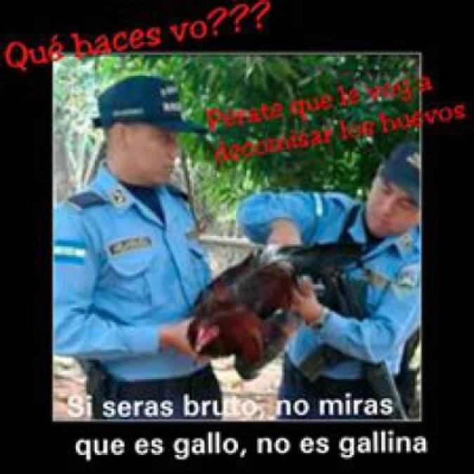 La Policía Nacional tuvo que intervenir y llevarse el animal a una celda para poder controlar el conflicto entre los hombres. <br/>