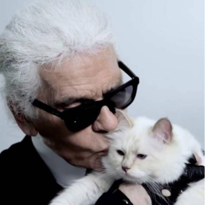 Se dice que, Karl Lagerfeld, se apropió de la gata cuando un amigo que iba de viaje le dijo que se la cuidará.