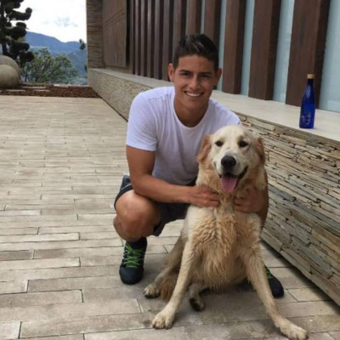 James Rodríguez puso a su perro Dylan.