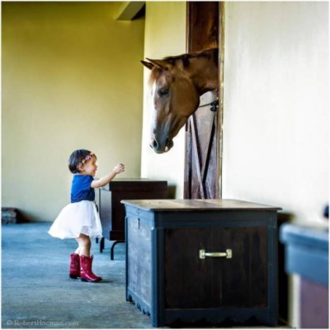 Una de las nietas de Juanga jugado con un caballo.