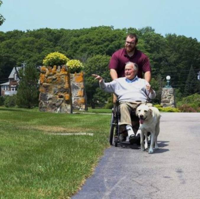 El expresidente de Estados Unidos, George Bush, falleció el viernes 30 de noviembre de 2018. En vida siempre estaba acompañado de su perro fiel, un labrador llamado Sully, pero el animal se resiste a separarse de su amo.