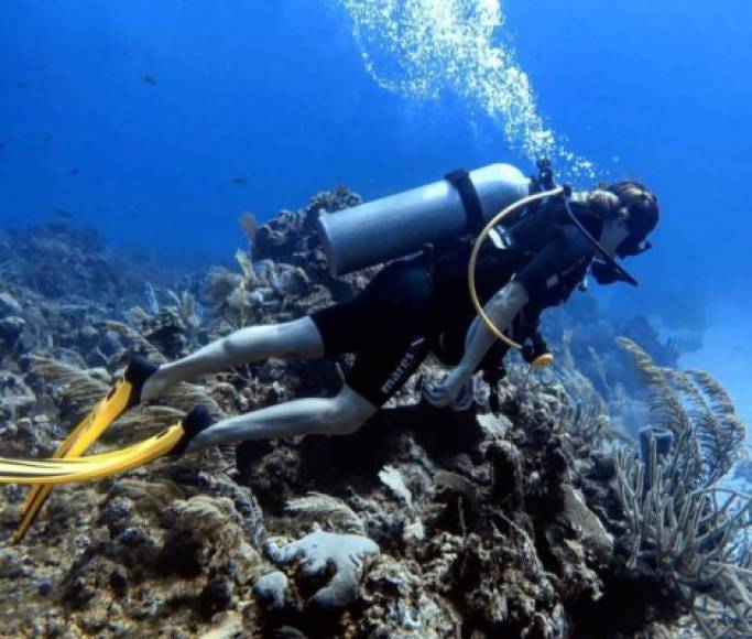 Parra y Brown también aprovecharon para hacer buceo en los arrecifes de coral en las Islas de la Bahía, el segundo más grande del mundo.