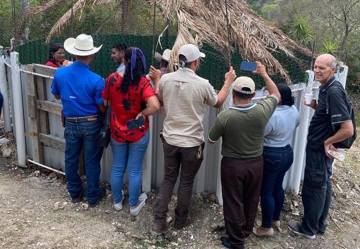 Inauguran el primer zoocriadero de iguanas en el occidente de Honduras