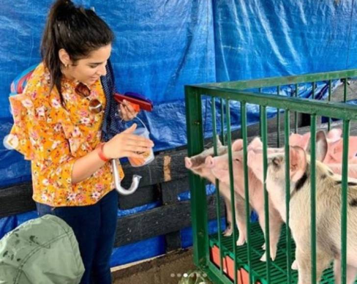 Lanza al parecer es una apasionada por los animales, en esta postal se le ve junto unos cerditos.