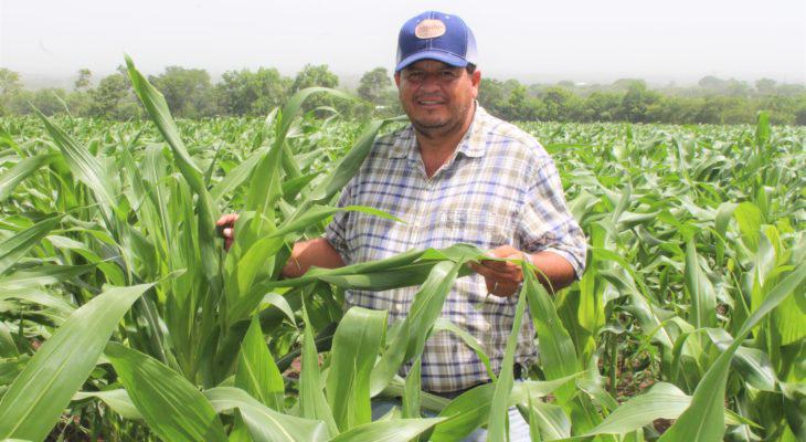 César Guifarro, un exitoso agricultor originario de Olancho.