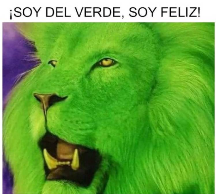 Los mejores memes que nos dejó la gran final que le ganó Marathón a Motagua en tanda de penales en el estadio Yankel Rosenthal.