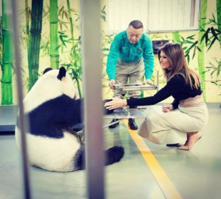 El director llevó a la exmodelo a conocer a la estrella del zoológico: un oso panda macho de 18 años y de nombre Gu Gu.