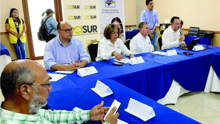 <b>Autoridades del Cohep durante la reunión con los productores de la zona sur. Fotos: Cortesía Cohep.</b>