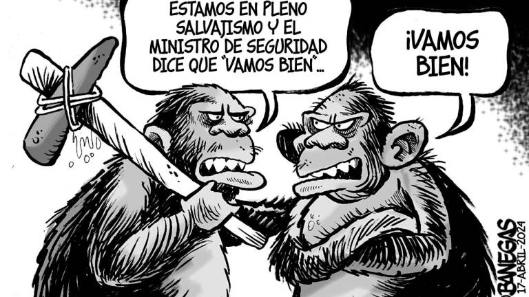 REFUNDACIÓN DE LA SELVA