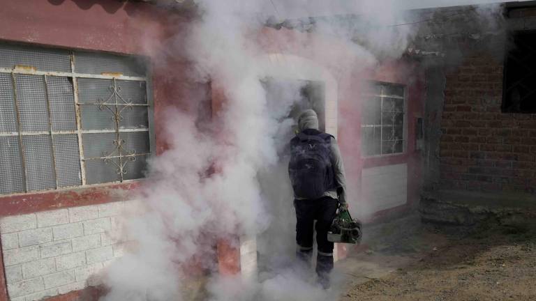 Un brote de dengue se ha estado propagando rápidamente en varios países latinoamericanos. Fumigando una casa en Perú contra los mosquitos para frenar la propagación.