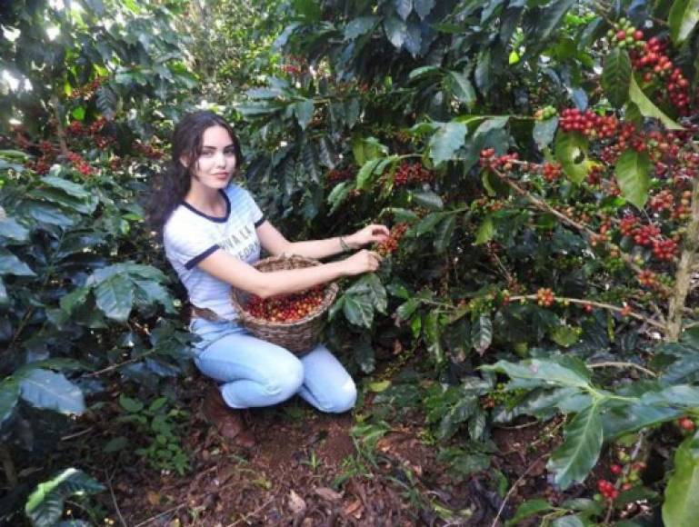 Haley comparte en sus redes sociales fotos de sus visitas a Santa Barbára y realza su amor por Honduras.