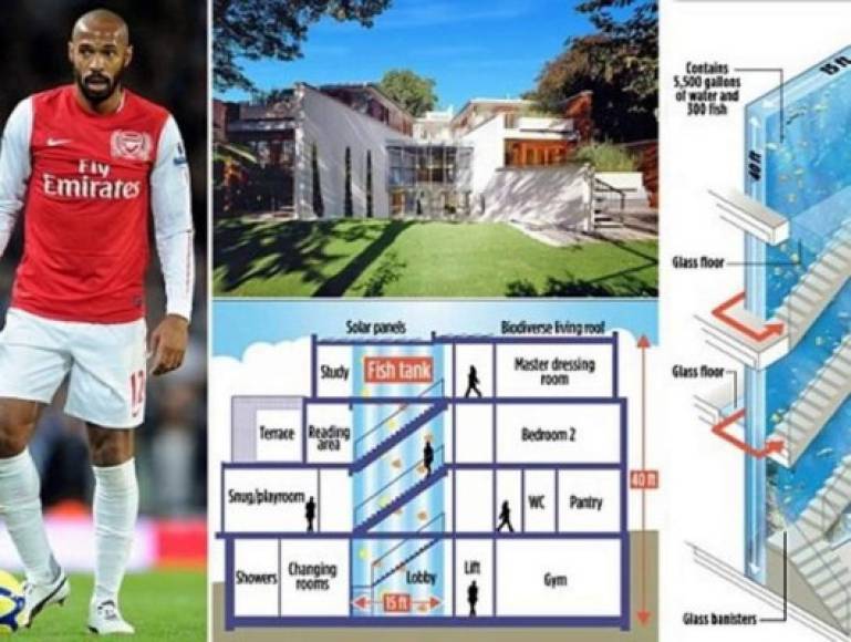 Cuando el francés Thierry Henry jugaba en el Arsenal quiso hacerse un acuario para su mansión. Pero no uno con un par de pececitos, uno de más de 12 metros de altura. El proyecto se valoró en unos 400.000 euros.