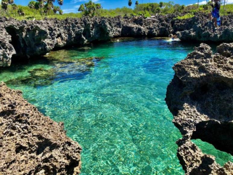 La piscina natural de agua salada queda al Oeste de la isla de Utila. Primero se tiene que ir en lancha luego se camina por 45-60 minutos para llegar al destino de encanto.
