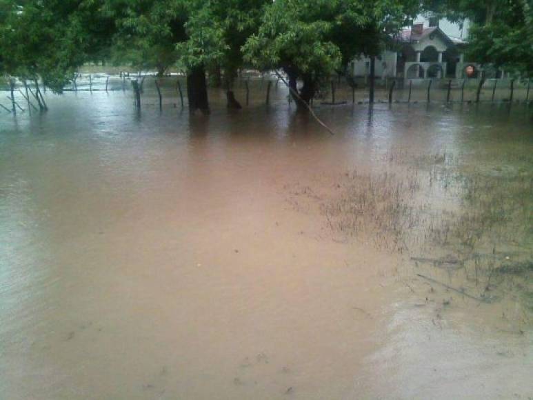 El río se ha desbordado en algunas zonas y las ha inundado.