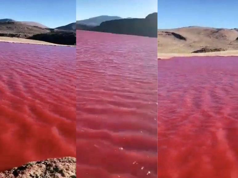 Fue a través de videos e imágenes difundidas en redes sociales donde se dio a conocer de este inusual acontecimiento donde la tonalidad del río Nilo cambió su color normal a rojo.