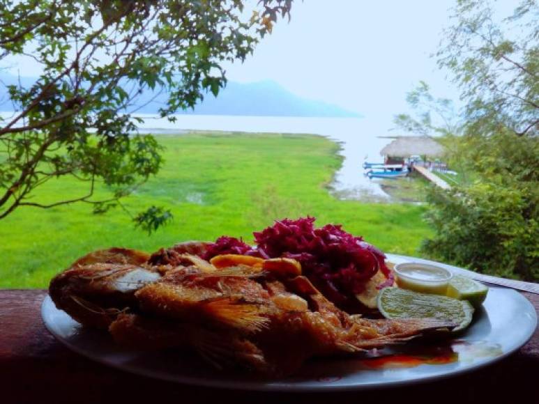 El Lago de Yojoa tiene más de 70 puestos de comida donde venden pescados y otras delicias de agua dulce. Además al su alrededor se ubican más de 20 hoteles y se producen piñas; también es un excelente lugar para avistar aves (contabilizas más de 440 aves).<br/>