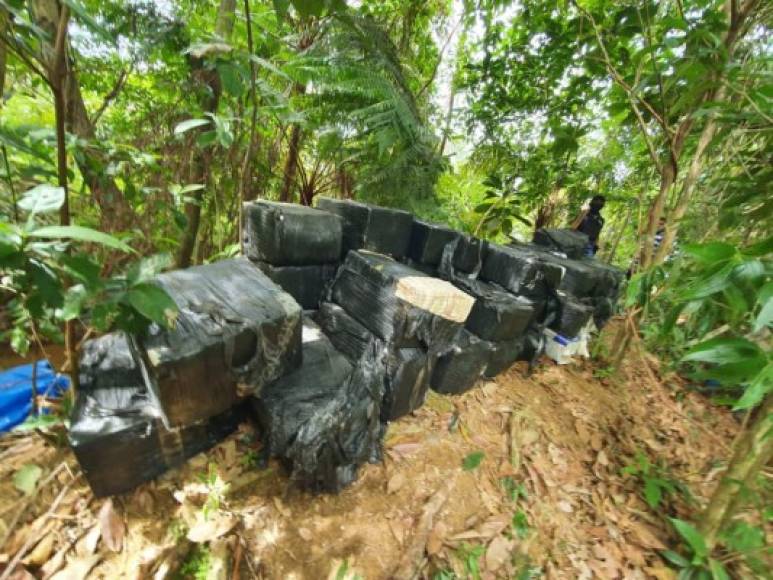 'El fuerte golpe al narcotráfico es producto del seguimiento a estructura criminales en el caribe hondureño', remarcó Cerrato.