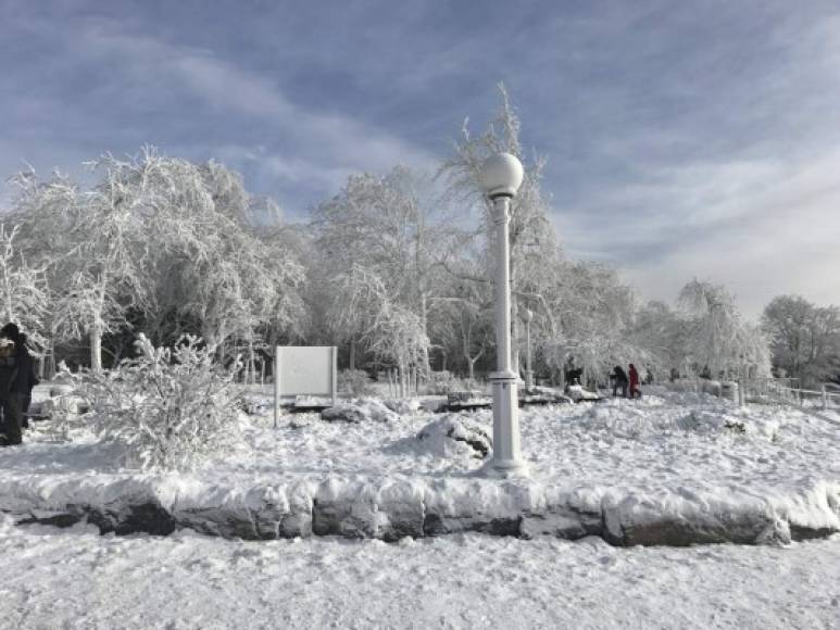 Gran parte de los Estados Unidos está cubierto por una tormenta que se extiende desde la frontera canadiense hasta la costa del golfo. El Servicio Meteorológico Nacional emitió una advertencia de tormenta invernal para el norte de Florida que se extenderá a Georgia y Carolina del Sur durante los próximos días.