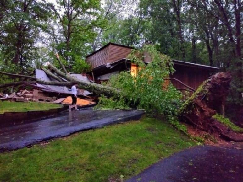 El alcalde de Danbury (Connecticut) Mark Boughton confirmó la muerte de un hombre luego de que un árbol cayera sobre su camioneta. Foto: Twitter Douglas H. Errett.