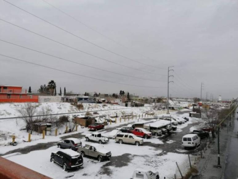 El SMN había pronosticado un 'ambiente gélido sobre el norte y noreste de México', con bancos de niebla sobre las sierras de la vertiente del Golfo de México y caída de aguanieve o nieve en regiones de Coahuila, Nuevo León y Tamaulipas, los estados del noreste del país.