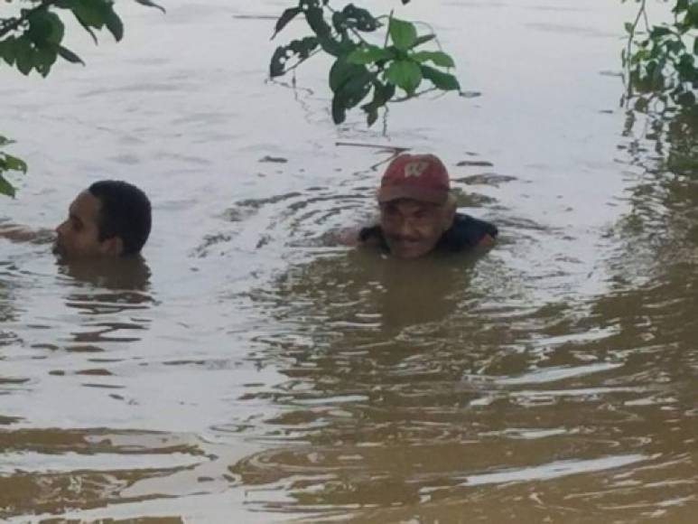 Su rescate se dio en el bordo de Col. Frontera sector Rivera Hernández, cerca de Asentamientos Humanos.