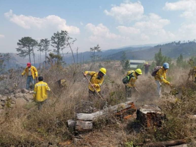 Las personas que trabajan para apagar el fuego se convierten en héroes sin capa para salvar los bosques y comunidades de Honduras. Foto: ICF