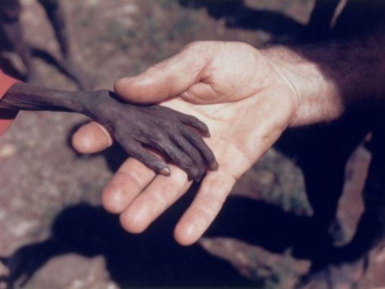 La fotografia de la mano de un niño africano famélico siendo sostenida por un misionero fue tomada por Mike Wells.