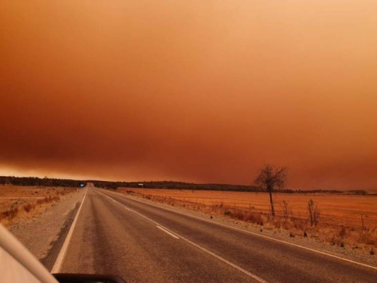 Pero las condiciones son temporales dado que el miércoles y jueves se espera un incremento de las temperaturas, por lo que se ha activado para esos días la alerta de peligro de incendios, antes de que vuelva a llover el viernes.