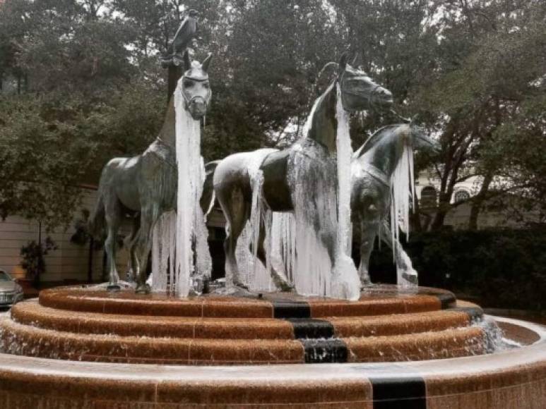 Varios videos y fotos publicados en medios locales muestran una fuente del campus universitario de Tallahasse con las estatuas y grifos cubiertos con carámbanos de hielo