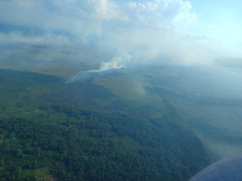 Hasta el momento no hay un pronunciamiento oficial de las autoridades hondureñas del incendio en la Biosfera del Río Plátano.