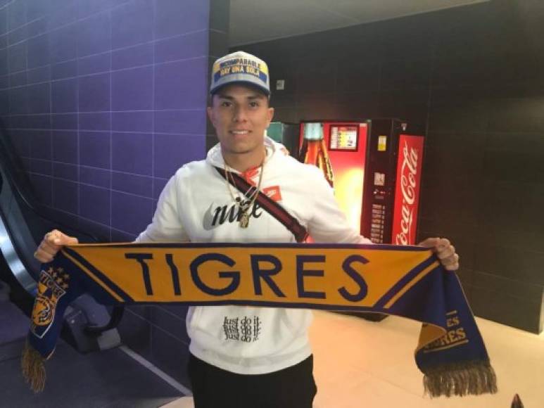 Los Tigres de México han fichado al central mexicano Carlos Salcedo por 8.800.000 €. Firma por cuatro años y llega procedente del Frankfurt de Alemania.