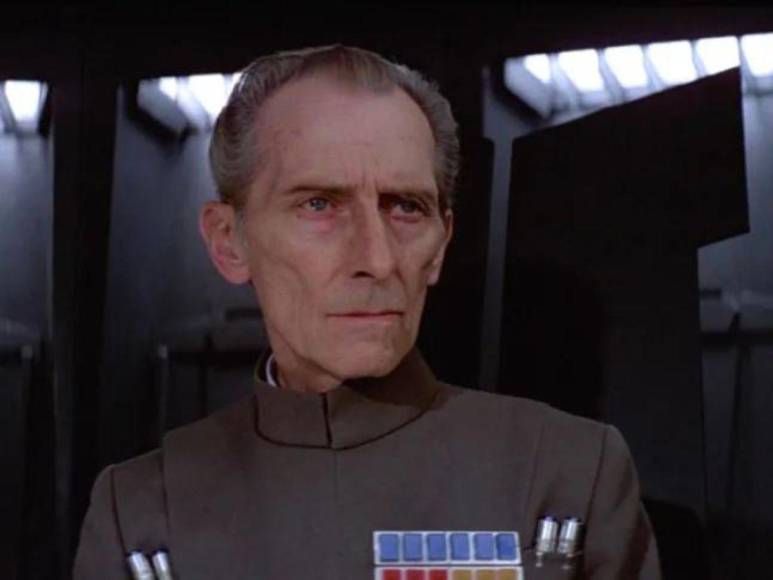 Peter Cushin: el actor interpretó al Gran Moff Tarkin, el líder de la flota del Imperio, en las películas originales de ‘Star Wars’. Vale recordar que, aunque Cushing falleció en 1994, fue recreado digitalmente para escenas en ‘Rogue One’.
