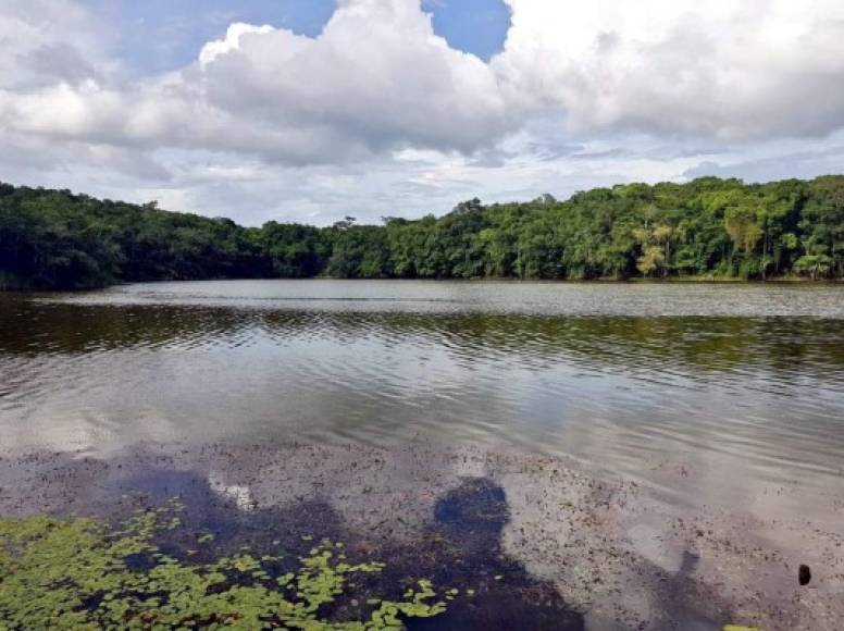 Antes de su repentina desaparición, esta laguna ofrecía un paisaje azulado en la reserva de la biosfera de Calakmul y el llamado Santuario del Jaguar.