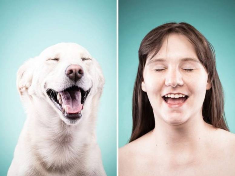 Esta diferencia sugiere que el perro adopta expresiones faciales diversas 'para comunicarse y no solo porque esté emocionado', según un comunicado de la universidad.