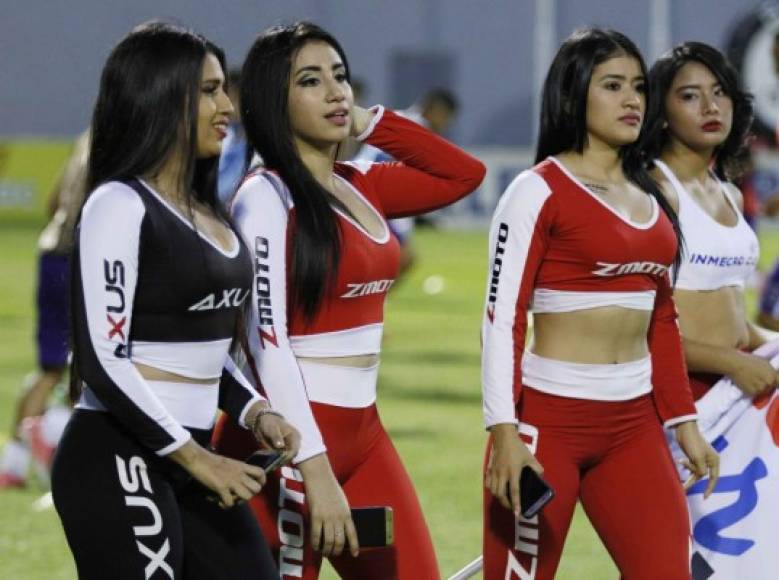 Hermosas edecanes siempre roban miradas en los partidos.