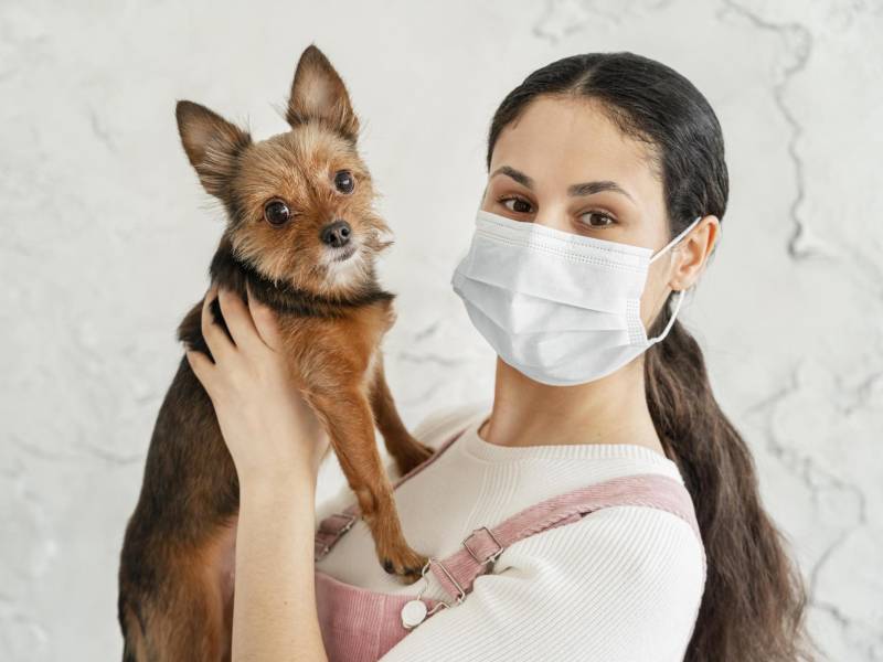 Millones de perros y gatos adoptados durante pandemia transitan hoy la mediana edad, una etapa que impone nuevos retos a las familias que los recibieron en tiempos de confinamiento. A pesar de que sus tutores cuentan con herramientas para favorecer el bienestar de sus animales a medida que crecen, la escasez de información acerca de los cuidados específicos en esta fase se mantiene como una barrera.