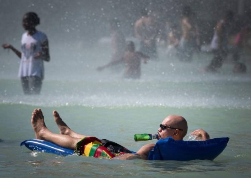 En Alemania, hay gran preocupación por las posibles consecuencias de la extrema sequía y la ola de calor para la agricultura, junto a un mayor peligro de incendios forestales.