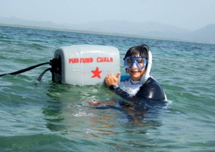 Existen reportes de que las estrellas se mueven de acuerdo a la temperatura del agua, cuando está muy caliente, ellas buscan zonas más profundas para poderse proteger del calor.