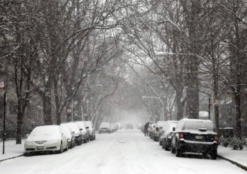 Según datos del Servicio Meteorológico Nacional, los 86 centímetros de nieve que cayeron el 25 de diciembre fueron la marca más alta que la ciudad haya registrado, batiendo un récord de 1956.