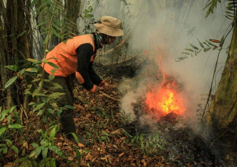 Más de 29,000 bomberos, voluntarios y funcionarios de otras agencias participan en las tareas de extinción de los incendios, en su gran mayoría provocados para abrir paso a plantaciones como el aceite de palma durante la temporada seca, que da comienzo en septiembre y este año es la menos húmeda desde 2015.<br/>