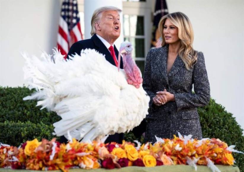 'Corn, te concedo un perdón total, gracias Corn', dijo Trump, agitando la mano sobre el pavo procedente de Iowa, un estado que le gusta al magnate porque votó por él dos veces.