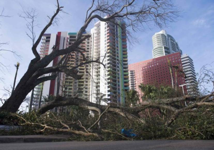 Según las autoridades locales, Florida reportó cuatro muertos por Irma.