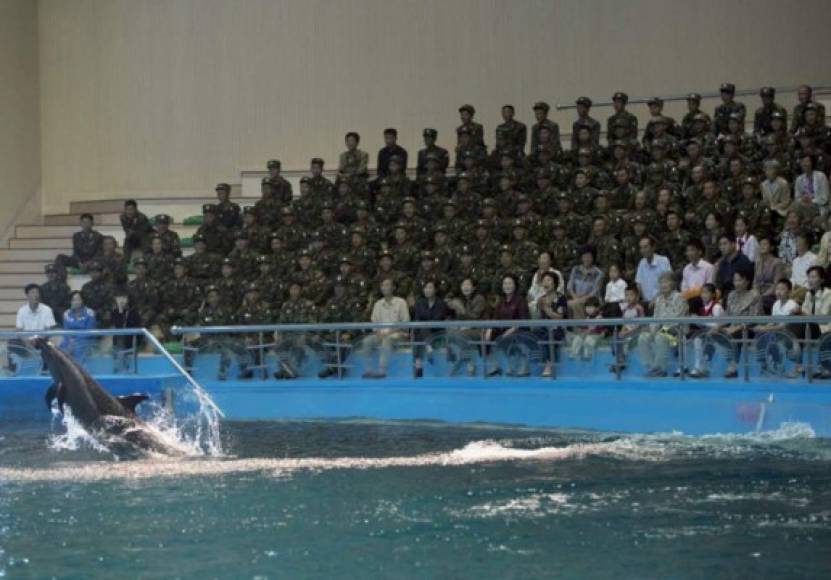 Un grupo de soldados disfruta de un expectáculo en el Delfinario de Pyonyang.