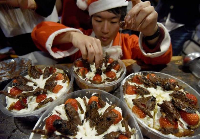 JAPÓN. Dusanos en Noche Buena Un hombre decora pasteles de Navidad con cigarras y gusanos recubiertos de chocolate en Tokio. Foto: AFP