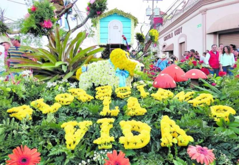 El primer Festival de las Flores se realizó por vez primera el 04 de mayo de 2013, con el tradicional desfile y actividades culturales, que motivó a miles de hondureños y extranjeros que años después de convirtió en una atracción turística, donde se incluyeron a los artesanos locales y nacionales.